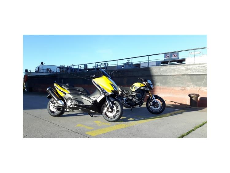 TMAX 60TH